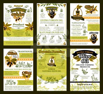 Olive oil posters or brochure design template of green and black olives for extra virgin product. Vector set of oil bottle or jar and drops on olive leaf for best quality organic cooking oil