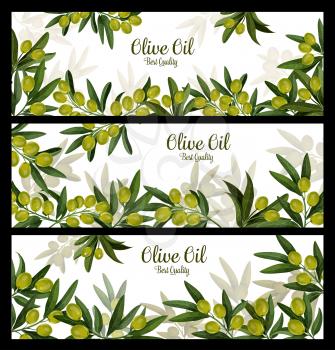 Olive oil and green olives vector banners for organic natural product. Vector design olive-tree leaves and green olive fruits for olive oil extra virgin product for market or farm shop