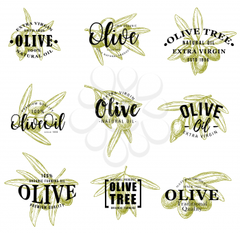 Olive icons of green olives on branches. Vector extra virgin oil for seasoning and dressing, organic natural product symbols of fruits with leaves. Italian or greek cuisine theme