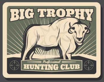 Hunting club retro poster of buffalo or ox bull for hunter big trophy. Vector vintage design of wild animal for hunt club or open season