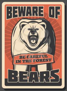 Beware of bears retro poster for hunter warning. Vector vintage design of wild animal of grizzly bear roaring in forest for hunting club or open season adventure