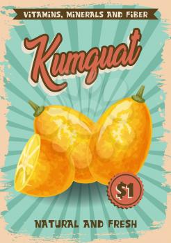 Kumquat exotic fruit poster with farm market price. Vector agriculture tropical cumquat cut slice and whole fruit with natural vitamins, minerals and fiber nutrition