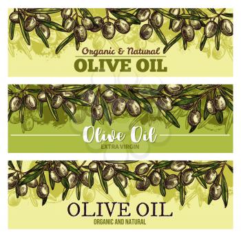 Olive oil banner with border of fresh green olives. Olive fruit, tree branch and green leaf sketch label for extra virgin oil bottle and natural organic food packaging design