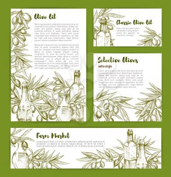 Olive oil and selective olives sketch vector poster templates with bottles and pitchers for product nutrition information, vegetarian food salad flavoring ingredient or vegetable seasoning