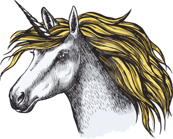 Unicorn mystic fairy horse head sketch. Vector icon of mustang with golden mane hair and magic horn for equine sport or equestrian races and contest exhibition design