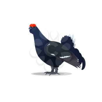 Capercaillie bird flat icon. Vector isolated botanical or zoology design of capercaillie or wood blackcock grouse and forest heather cock species for wildlife fauna and and nature zoo