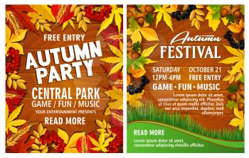 Autumn harvest festival poster template set. Fall season nature frame of yellow and orange leaf, wheat and rowan berry branch on wooden background with text layout in center for autumn party design