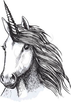 Unicorn head sketch of medieval heraldic horse animal with horn. White unicorn magic fairy horse with wavy mane isolated symbol for tattoo or t-shirt print design