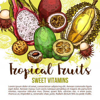 Tropical fruit poster with feijoa, durian and rambutan, longan, passion and dragon fruit sketch. Whole and half of exotic asian fruit and berry for natural juice, fruity drink and dessert menu design