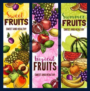 Fruit and berry sketch banner of tropical and garden plant. Fresh apple, orange and pineapple, mango, lemon and banana, grape, watermelon and grapefruit, peach, melon and plum, pomegranate and kiwi