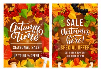 Thanksgiving Day sale posters for shopping discount or store promo offer design. Vector autumn vegetables and fruits harvest with mushroom and berries in maple leaf fall