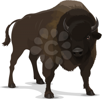 Bison wild animal cartoon character. Isolated brown bull of ox or buffalo mammal in aggressive pose. Zoo symbol, hunting sport club emblem or wildlife themes design