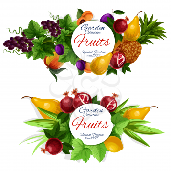 Fruit labels, tropical garden berry and green leaves. Pineapple, mango and lemon, grape, pear and plum, peach and pomegranate round frame, decorated with grapevine. Food and drink theme