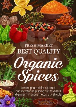 Organic spices and herbs on wooden background. Pepper, rosemary and thyme, green basil, vanilla and cinnamon, nutmeg, garlic and star anise, bay leaf, saffron and turmeric. Seasoning elements