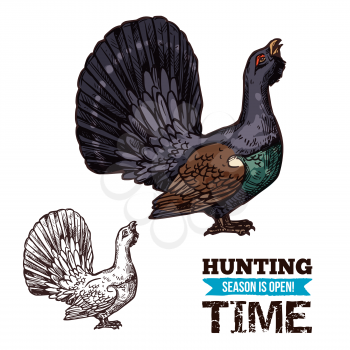 Vector isolated wild grouse or forest blackcock sketch, bird hunting adventure. Open season sketch poster, hunter society or club theme