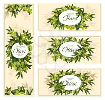 Olives banners for olive oil or extra virgin organic natural product. Vector design of green olives bunch and leaf for agriculture or food cooking
