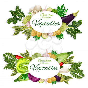 Vegetables harvest, natural food vector. Mushroom, eggplant, potato and garlic, chili pepper and lettuce, cabbage and zucchini, radish and rosemary. Garden or farm agricultural groceries