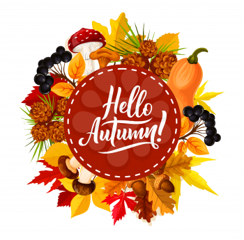 Hello Autumn poster with seasonal quote for fall holidays or sale festival. Vector design of autumn pumpkin, maple or rowan leaf, oak acorn and forest berry with mushroom