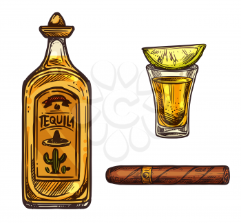 Tequila with lime and cigar sketch icons. Vector Mexican traditional alcohol drink bottle with sombrero cap and cactus and cigarette or Cuban Havana cigar