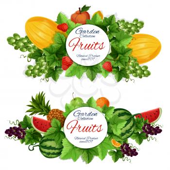 Organic farm fruits. Vector agriculture harvest, greengrocery market melon and watermelon, apple and orange, pineapple and grape, strawberry and lemon, leaves and peach