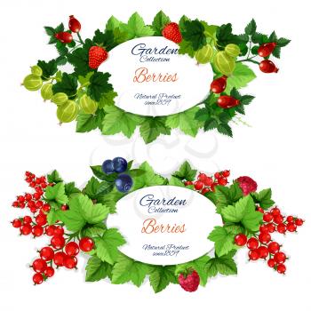 Healthy garden fruits and berries vector banners. Strawberry and raspberry, blueberry and red currant, gooseberry and briar. Green leafy branches with oval badge, natural organic food