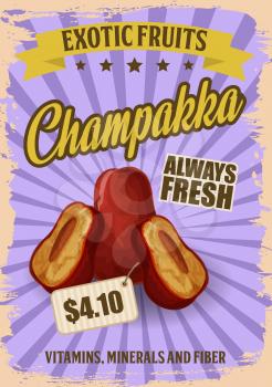 Champakka exotic fruit price or advertisement, vector poster. Vector grunge design of champakka apple with stars and ribbon, tropical fruits store or farmer market