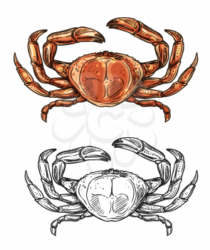 Crab seafood sketch icon. Vector isolated fishing crustacean, fishery sea food