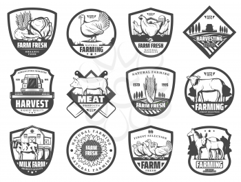 Farm vector badges of milk, vegetable and meat food product, agriculture and farming design. Barn, cow animals and tractor, ranch field, pig and rooster, chicken, corn and wheat harvest, farmer market