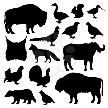 Wild animals and birds monochrome vector silhouettes. Lynx and buffalo, forest fox and bison, woodcock and partridge, squirrel and ox, grouse and goose, duck and badger, fox and pheasant