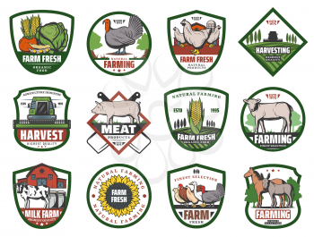 Milk, meat and vegetable farm retro badges with vector animals and crop plants, agriculture design. Barn, tractor on field and cow, chicken, turkey and fresh veggies, pig, sheep and sunflower