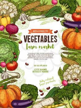 Vegetables of farm food market. Vector poster with frame of tomato, cabbage and pepper, broccoli, onion and garlic, eggplant, beans and radish, cauliflower, corn and pumpkin, asparagus, leek sketches