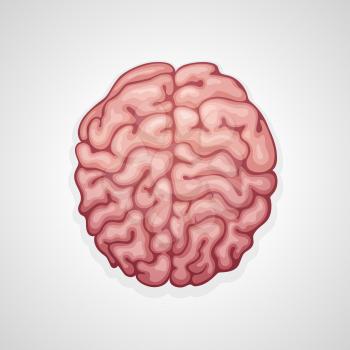 Human brain, medical icon of neurology and anatomy science. Vector isolated brain mind, smart brainstorming, or creative thinking idea and knowledge, psychology and intelligence symbol