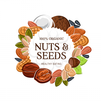 Nuts and natural grains, healthy eating and vegan diet nutrition. Vector 100 percent organic almond, peanut, hazelnut or walnut and pistachio nuts, sunflower and pumpkin seeds