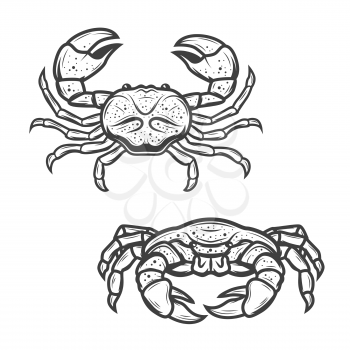 Crab seafood isolated icon. Vector marine crustacean symbol of sea fishing or ocean fisher catch, fishery sea food underwater animal, zoology crab and salty snack sign