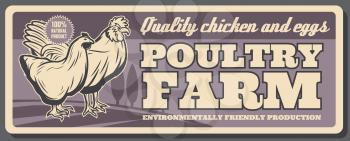 Poultry farm products vintage retro vector poster. Natural organic and healthy poultry farm food production of chicken meat and eggs, farmer shop and high quality product package