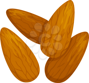 Shelled almond seeds isolated drupes of fruit. Vector edible seeds, natural vegetarian food