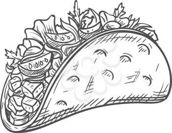Tacos or burritos isolated mexican food sketch. Vector fastfood snack, fried tortilla with lettuce, tomato, and meat