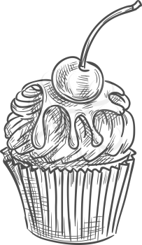Cake topped by cherry fruit isolated muffin sketch. Vector fruity cupcake with chocolate