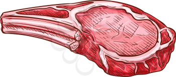 Rib chop sketch icon, meat on rib bone vector. Beef piece or pork steak