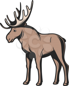 Elk wild animal icon. Vector moose wapiti, elk antler hunt and zoo mammal