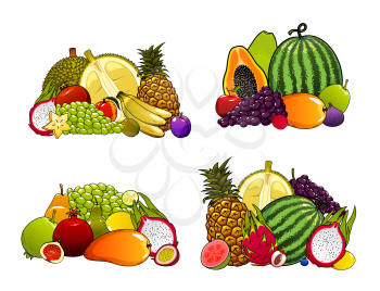Tropical and farm garden fruits, organic healthy food. Vector exotic fruits pineapple, mango and papaya, farmer watermelon, orange and pomegranate, grapes, apple and pear, durian and guava