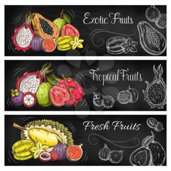 Exotic fruit and berry blackboard banners of tropical farm and garden food. Vector papaya, lychee, fig and carambola, durian, guava, mangosteen, passion and dragon fruits on chalkboard