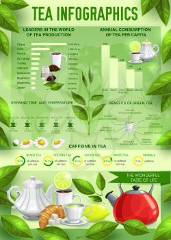 Tea infographics with vector graphs and charts of hot beverage statistics. Caffeine content, production and consumption of black, green and herbal tea diagrams with leaves, cups, teapots and chamomile