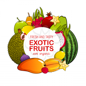 Exotic fruits icon with tropical berries frame. Vector mango, lemon and fig, lychee, jackfruit and carambola slices, pear, watermelon and guava, dragon fruit, pomegranate, natural juice or food design