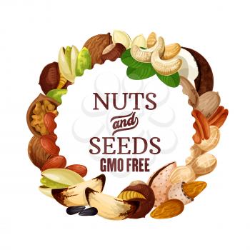 Nuts and seeds, organic GMO free raw vegetarian food, healthy superfood nutrition. Vector natural peanut, hazelnut or walnut and almond, coconut, sunflower seeds, pecan and pistachio nuts