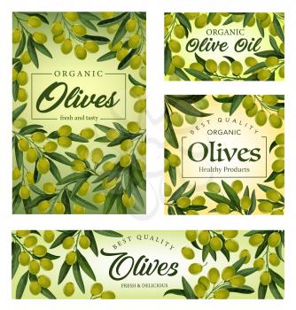 Green olives and oil vector banners with olive tree branches, leaves and fruits frame. Packaging design of Greek and Italian food, salad dressing ingredients and mediterranean cuisine products