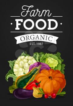 Vegetables vector design of organic farm food with bell pepper, radish, green and red cabbage, onion, eggplant and pumpkin, cauliflower and zucchini on blackboard. Vegetarian food, agriculture harvest