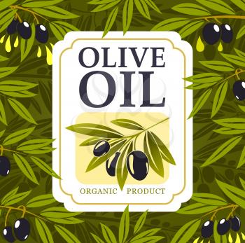 Olive oil organic farm food vector design with olive tree green branches, black fruits and drops of extra virgin oil. Bottle label of vegetarian cooking ingredient of Greek and Italian cuisine