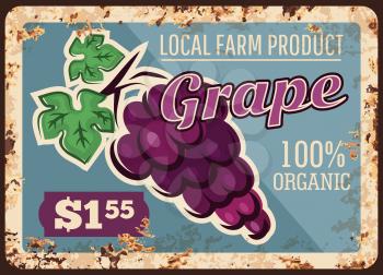 Grape rusty metal plate, vector vintage rust tin sign with bunch of ripe black grapes with leaves. Shop or farm promo, ferruginous price tag label, vineyard local farm product advertising retro poster