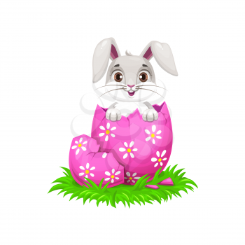 Cartoon Easter bunny and egg holiday egghunting. Cute rabbit or bunny animal hatched from painted egg with cracked pink shell, spring green grass and chamomile flowers
